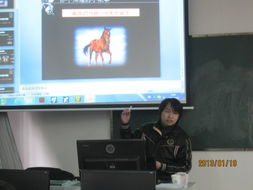 計算機組教師參加動漫專題培訓，探索技術(shù)與藝術(shù)的融合新路徑